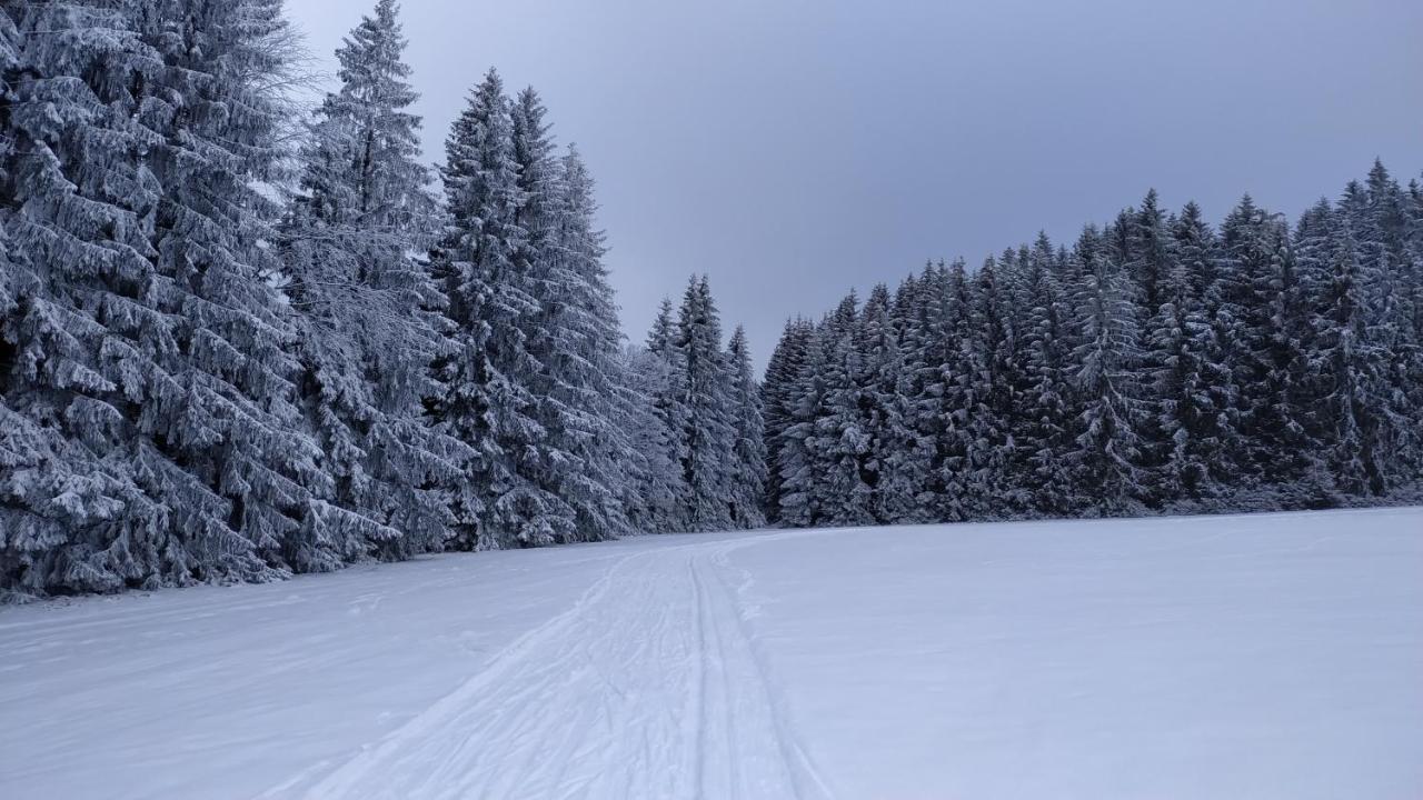 Penzion Zvon Horní Stropnice Buitenkant foto
